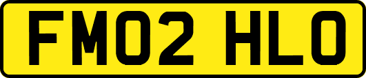FM02HLO
