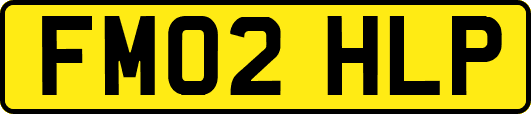 FM02HLP