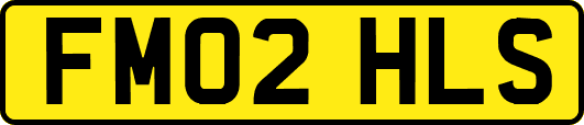 FM02HLS