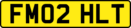 FM02HLT