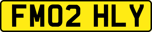 FM02HLY