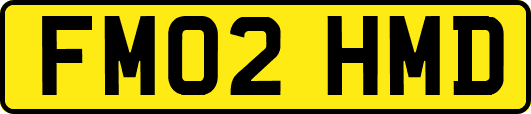 FM02HMD