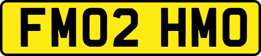 FM02HMO