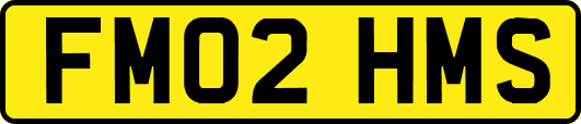 FM02HMS