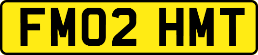 FM02HMT