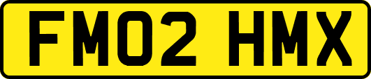 FM02HMX