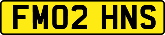 FM02HNS
