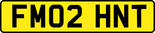 FM02HNT