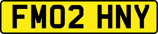 FM02HNY