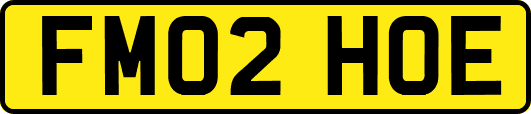 FM02HOE