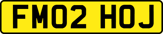 FM02HOJ