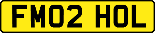 FM02HOL