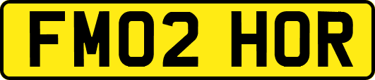 FM02HOR