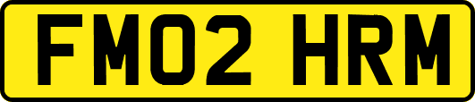 FM02HRM