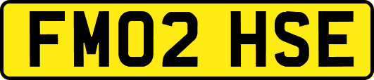FM02HSE