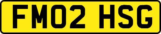 FM02HSG