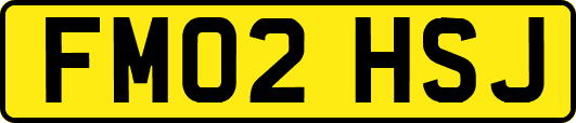 FM02HSJ