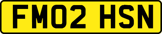 FM02HSN
