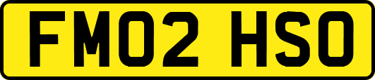FM02HSO