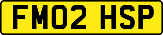 FM02HSP