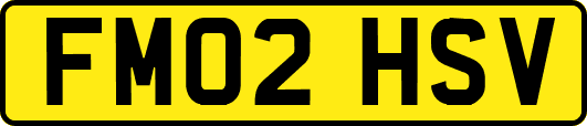 FM02HSV