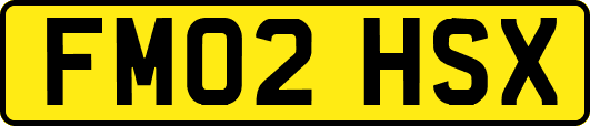FM02HSX