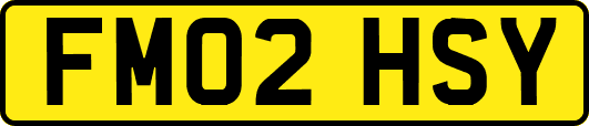 FM02HSY