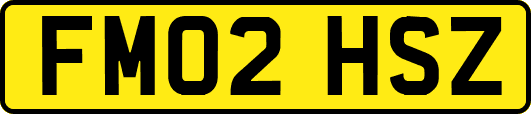 FM02HSZ