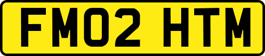 FM02HTM