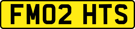 FM02HTS