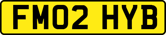 FM02HYB