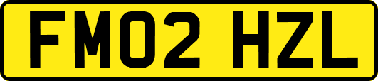FM02HZL