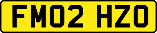FM02HZO