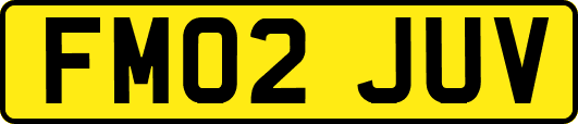 FM02JUV