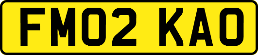 FM02KAO