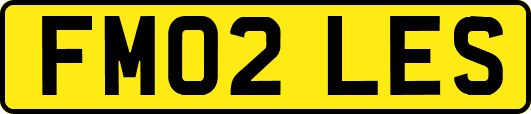 FM02LES