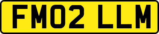 FM02LLM