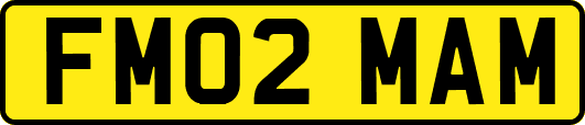 FM02MAM