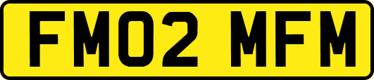 FM02MFM