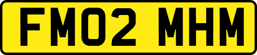FM02MHM