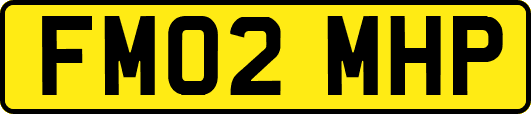 FM02MHP