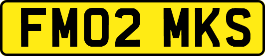 FM02MKS