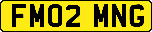FM02MNG