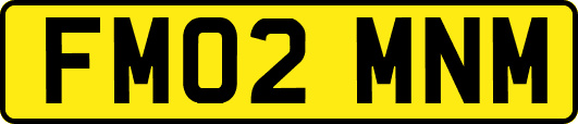FM02MNM