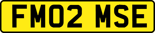 FM02MSE