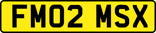FM02MSX