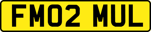 FM02MUL