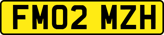 FM02MZH