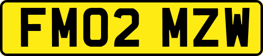FM02MZW