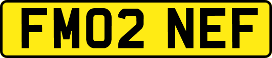 FM02NEF